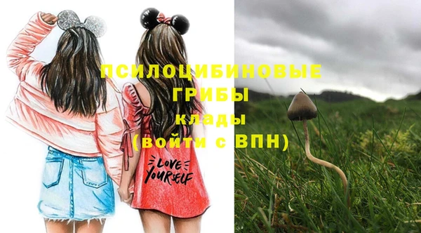 бутират Богородицк