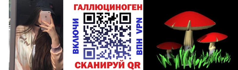 площадка состав  Горнозаводск  Псилоцибиновые грибы Psilocybine cubensis  mega ONION 